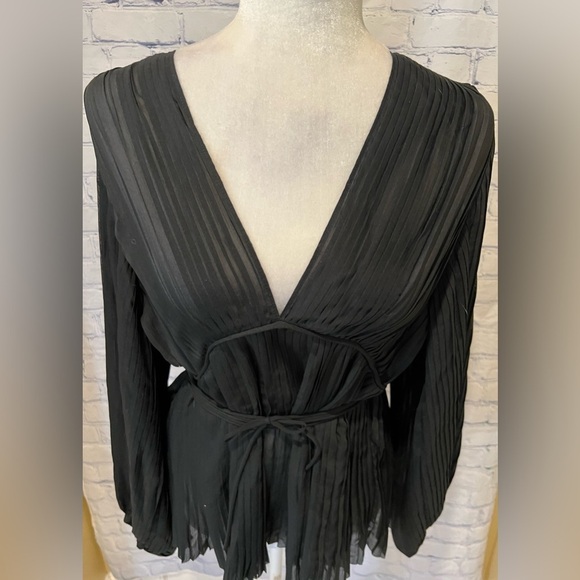 Banana Republic Black CHIFFON PLEATED BLOUSE Medium - Picture 3 of 6